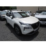 NISSAN X-TRAIL HYBRIDE 287000P