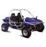 Buggy Dune 800 cc